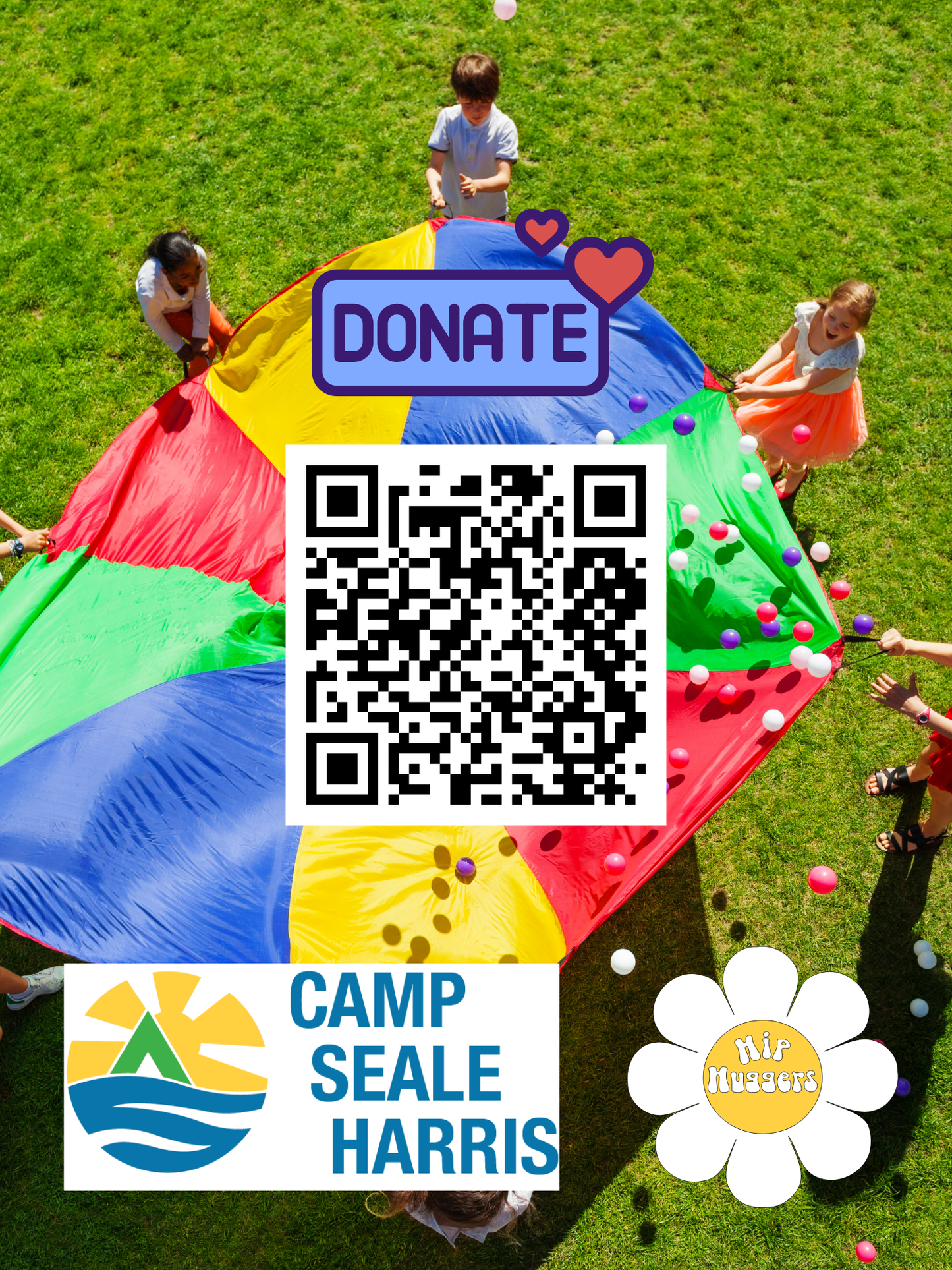 Donations to benefit Camp Seale Harris